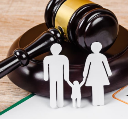 A Family Lawyer's Guide