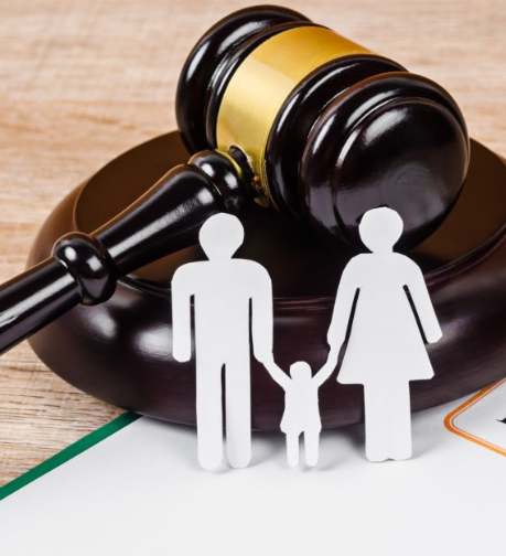 A Family Lawyer's Guide