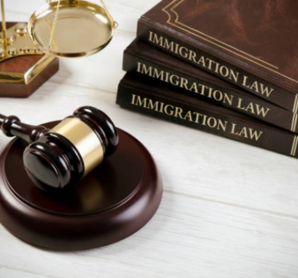 Understanding Visa Options: Expert Insights from an Immigration Lawyer