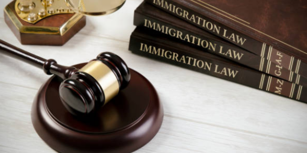 Understanding Visa Options: Expert Insights from an Immigration Lawyer